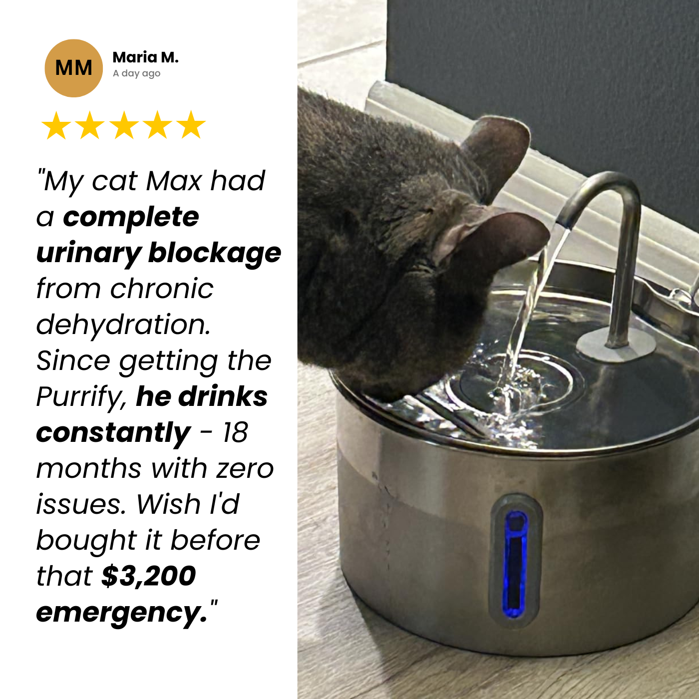 Purrify Stainless Steel Water Fountain