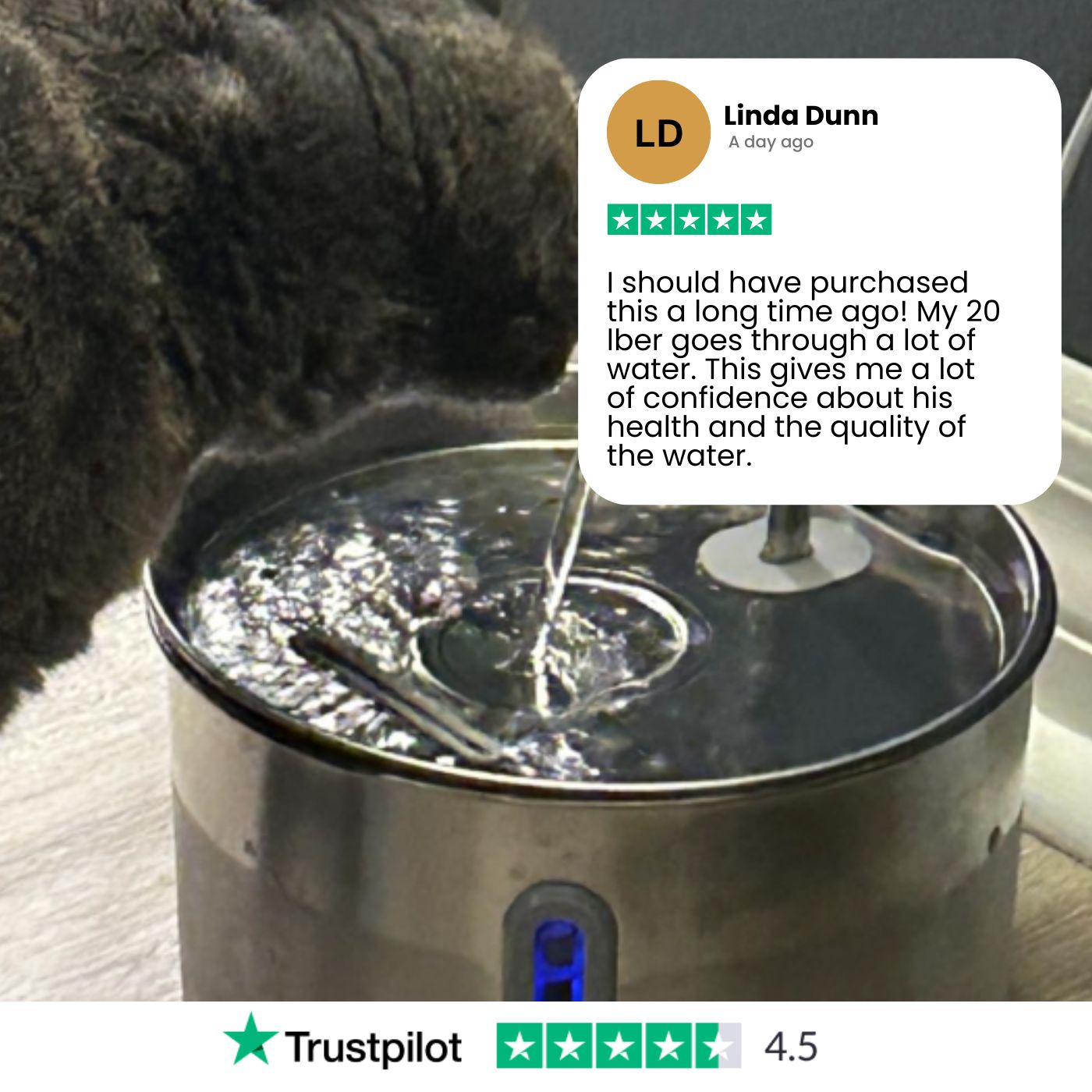Purrify Stainless Steel Water Fountain 1 Year Kit