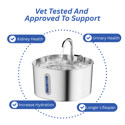 Purrify Stainless Steel Water Fountain