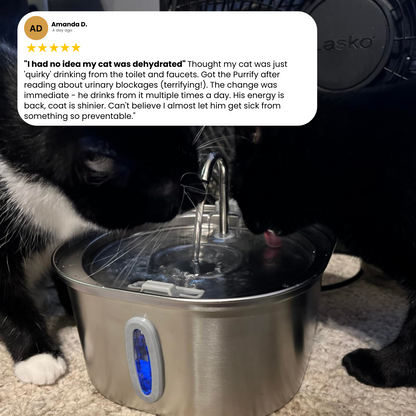 Purrify Stainless Steel Water Fountain